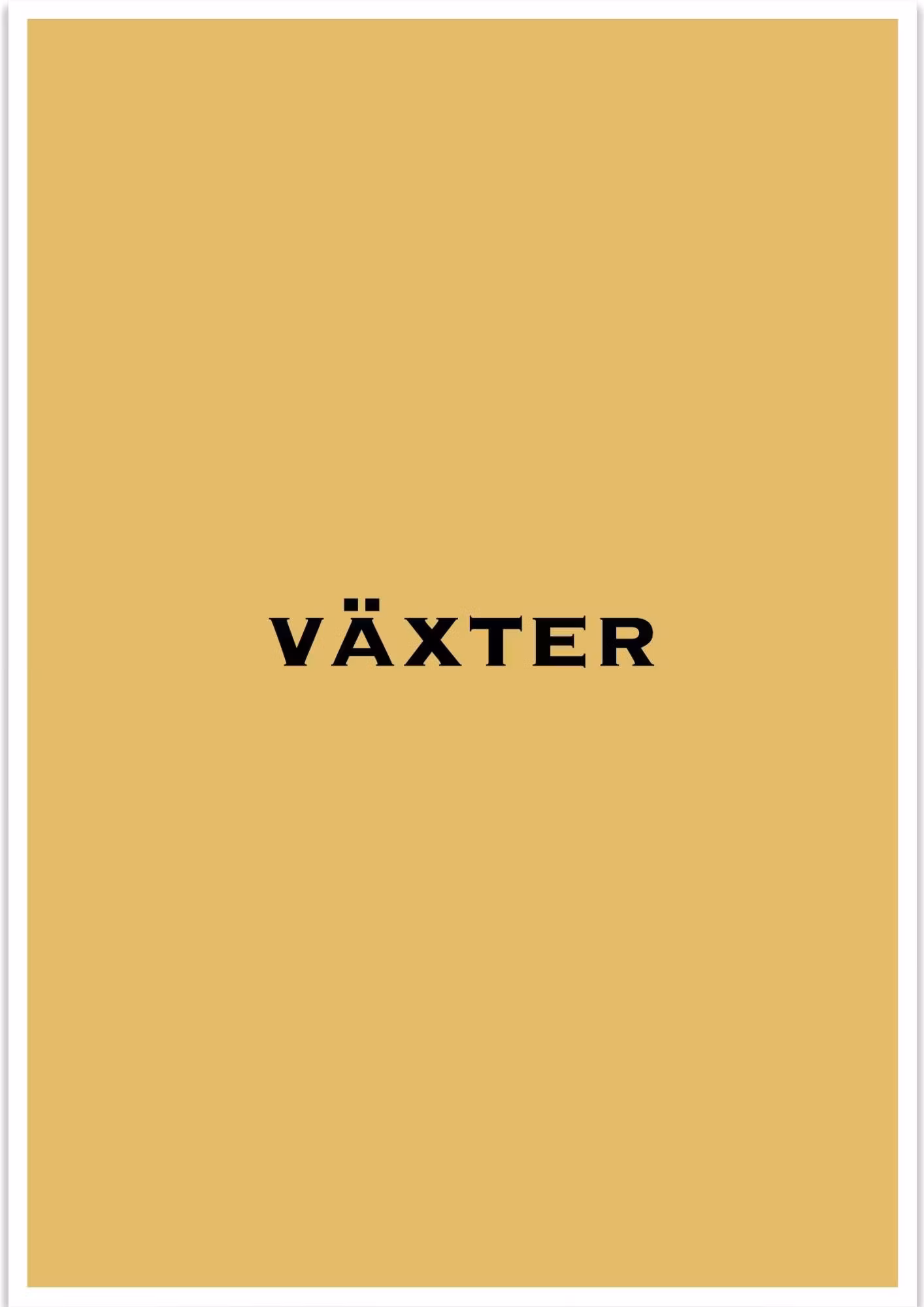 Växter - Butik Bohème