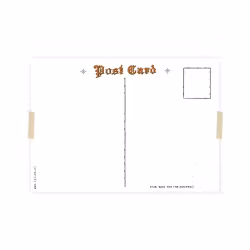 Julvykort collage - Kvinna med julgranshår