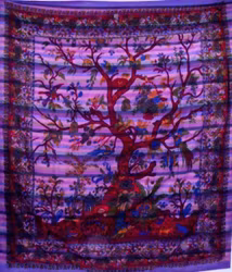 Tree of Life