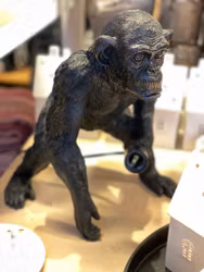 Monkey