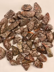 Jaspis Leopard