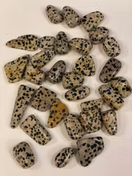 Jaspis Dalmatiner