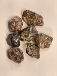 Agat Turitella
