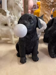 Hund med Bubbelgum