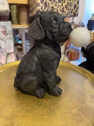 Hund med Bubbelgum