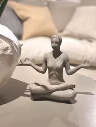 Yoga Lotus