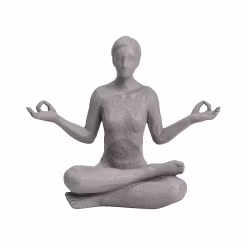 Yoga Lotus