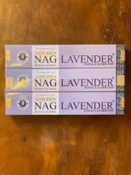 Golden Nag Lavender