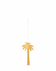 Hänge Palm