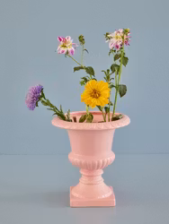 Blomkruka Pokal