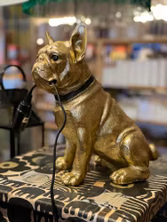 Hundlampa