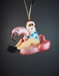 Santa on flamingofloatee