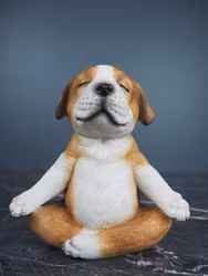Yogavalp