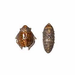 Salt & Pepparkar Bugs