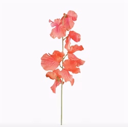 Sötärt 50cm