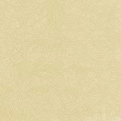 Servetter - Modern Colours Champagne