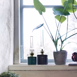 Fotogenlampa Svart Stor