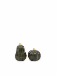 Pumpa Grön mix Liten