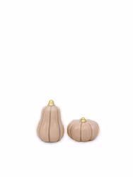 Pumpa Nougat mix Liten