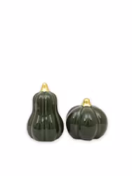 Pumpa Grön mix Mellan