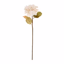 Dahlia 70cm