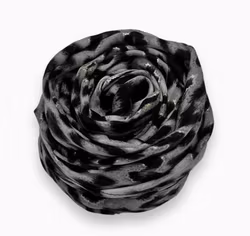 Scarf Leopard Svart