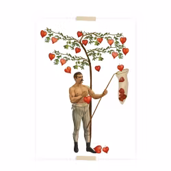 Vykort collage - Man fångar hjärtan
