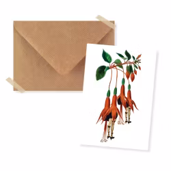 Minikort med kuvert collage - Fuchsia med ben