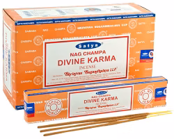 Satya - Divine Karma
