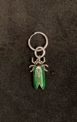 Örhänge Grön Insect