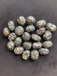 Krysantemum