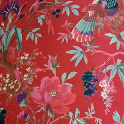 Kimono Fågel Röd