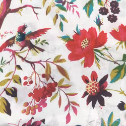 Kimono Fågel Vit