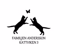 Dekal till brevlåda katter med fjäril