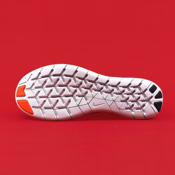Nike Fresh