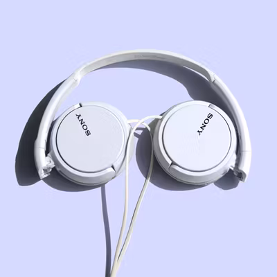 Sony WH100