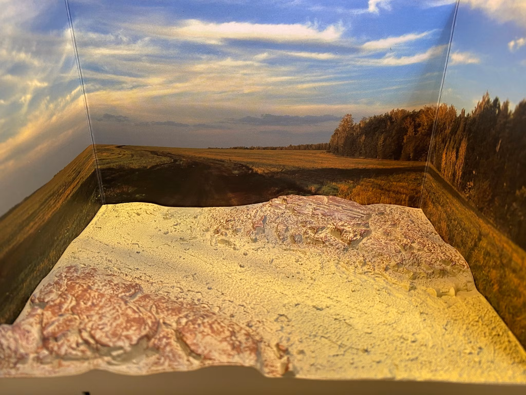 Skala 1/64 Diorama "Country Side" Grass- version m figurer fr BM Creations