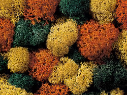 NOCH 08620 Lav, Mossa, höst mix/Lichen Autumn Mix 75 gram