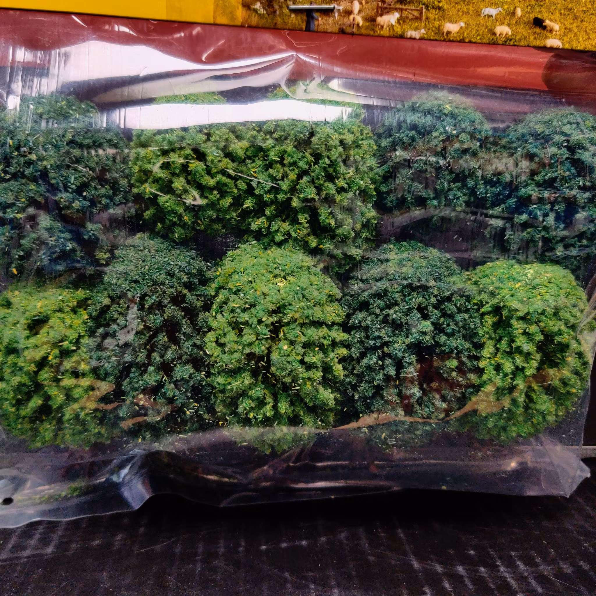 NOCH 26901 Lövträd i olika höjder 10 stycken