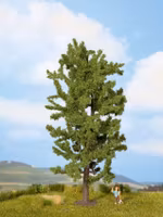 NOCH 25880 0 H0 TT N Lime träd/Lime tree 17 cm högt/High