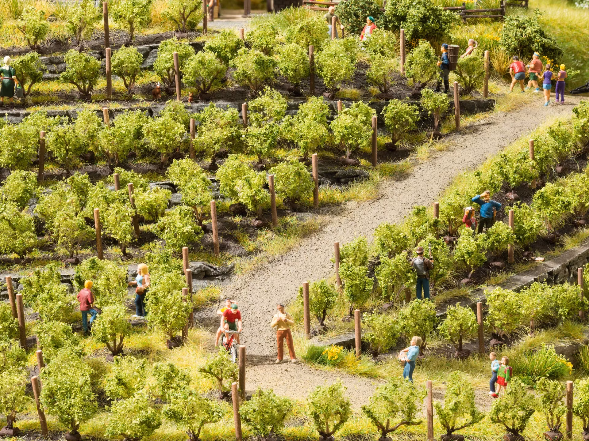 NOCH 21540 H0 TT Vinstockar Vinbuske/Vines 6 (x4) stycken/pcs