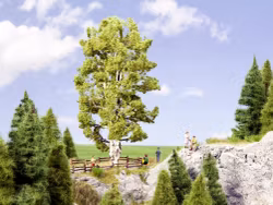 NOCH 21641 0 H0 Dubbel stammad Björk träd/Double-trunk birch tree 10 cm högt/High