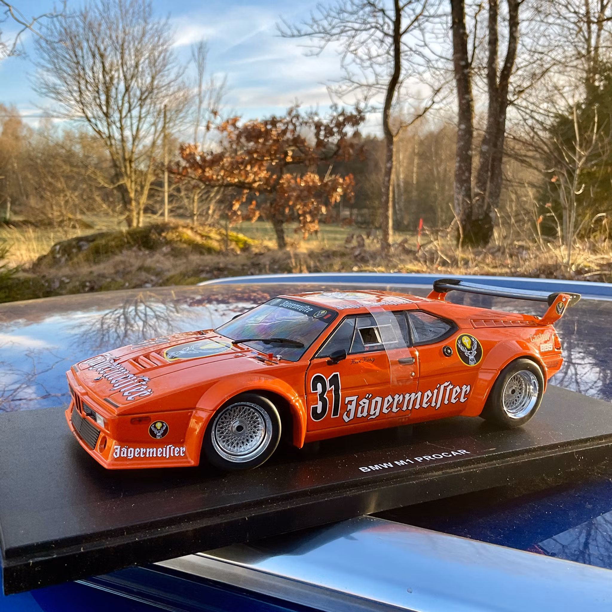 Skala 1/18 BMW M1 Procar, DRT Nürburgring, Kurt König fr WERK83