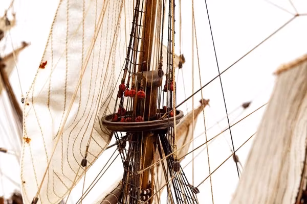 Skala 1/75 Building kit WASA - fr Billing Boats - Wooden hull