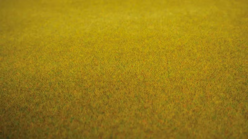 NOCH 00012 Grass Mat “Summer Meadow” grass-mat 200x100cm