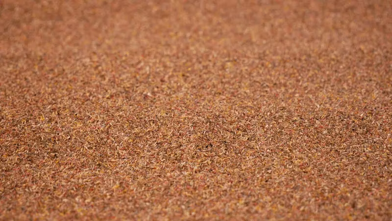 NOCH 00091 120x60 cm Gravel mat Beige /Realistiskt grus (matta) för tåg stations områden