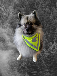 Trixie Reflex Scarf