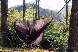 Myggnät till hängmatta, Guardian Bug Net Black - Eno