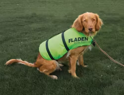 Hundflytväst limegrön - Fladen