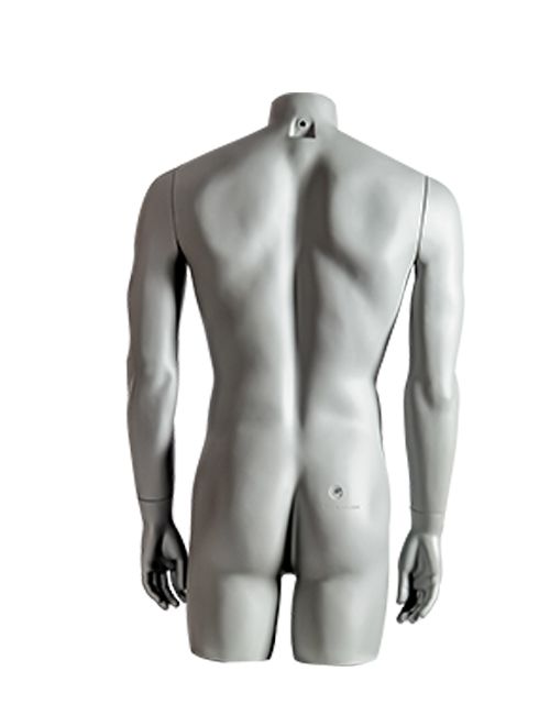 Impulse Torso